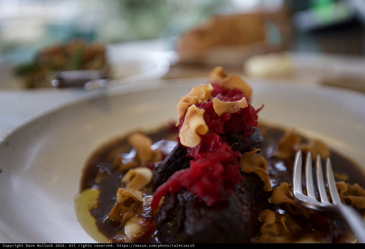 Gourmet Dark Meat Dish with Cranberry and Cashew Garnish