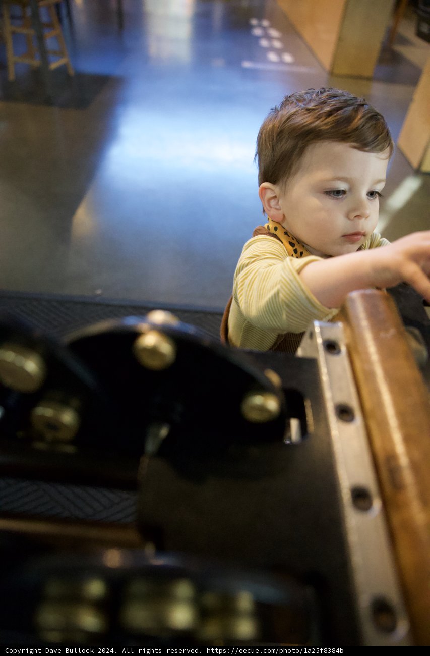 A Young Explorer's Pause