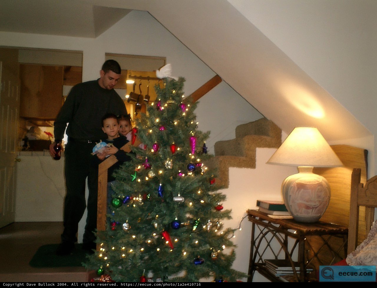 Christmas Tree Lighting in the Living Room