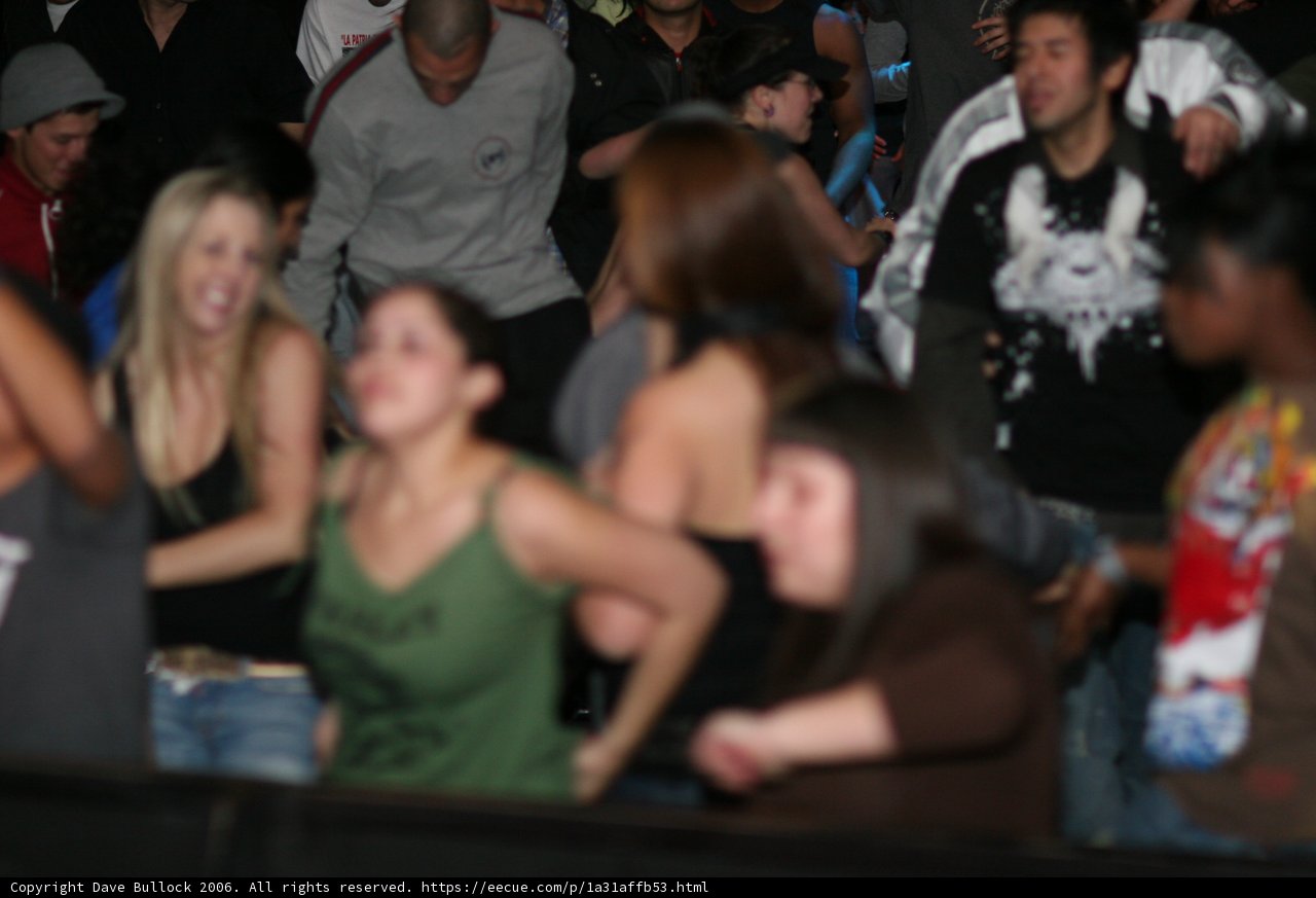 Night Club Groove