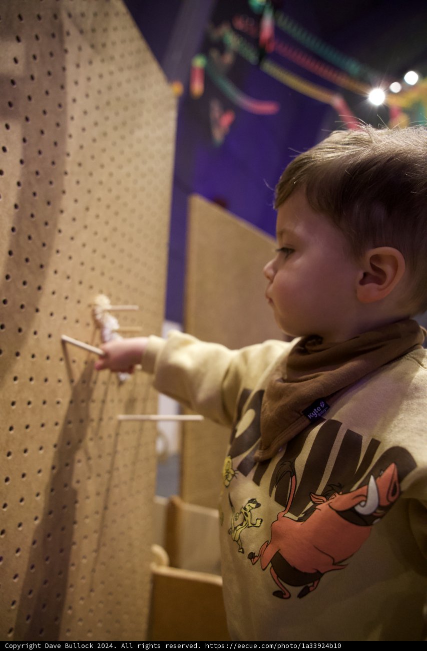 Reaching For Dreams at Lawrence Hall of Science, 2024