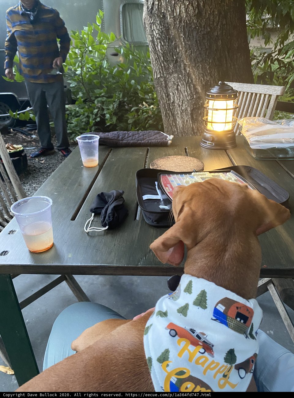 Canine Companion at the Dining Table