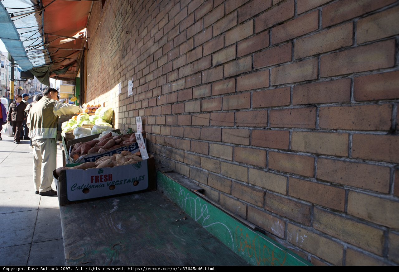 Brick Wall and Busy Pathway
