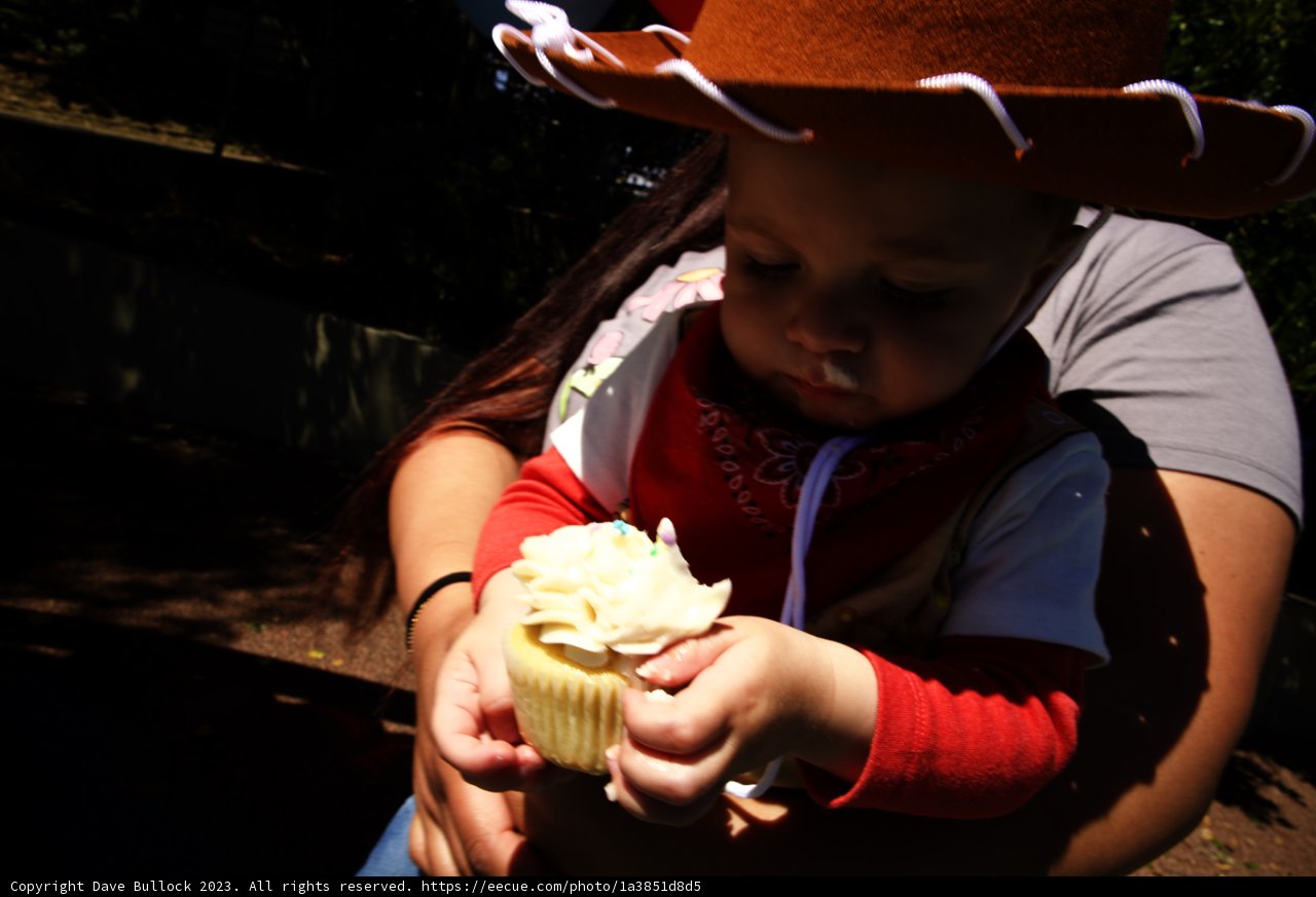 Wild West Cupcake Celebration