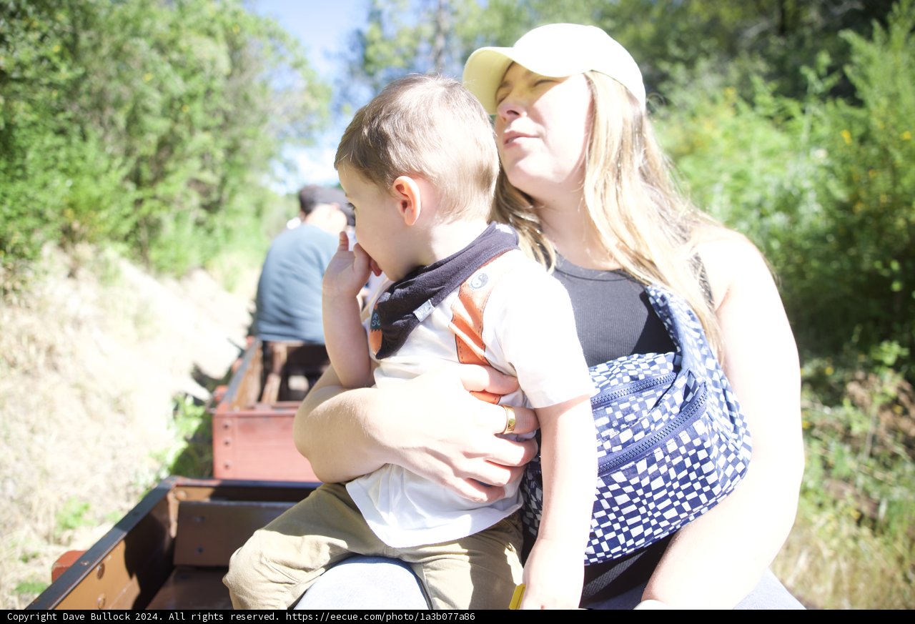 Sunny Adventures in Walnut Creek