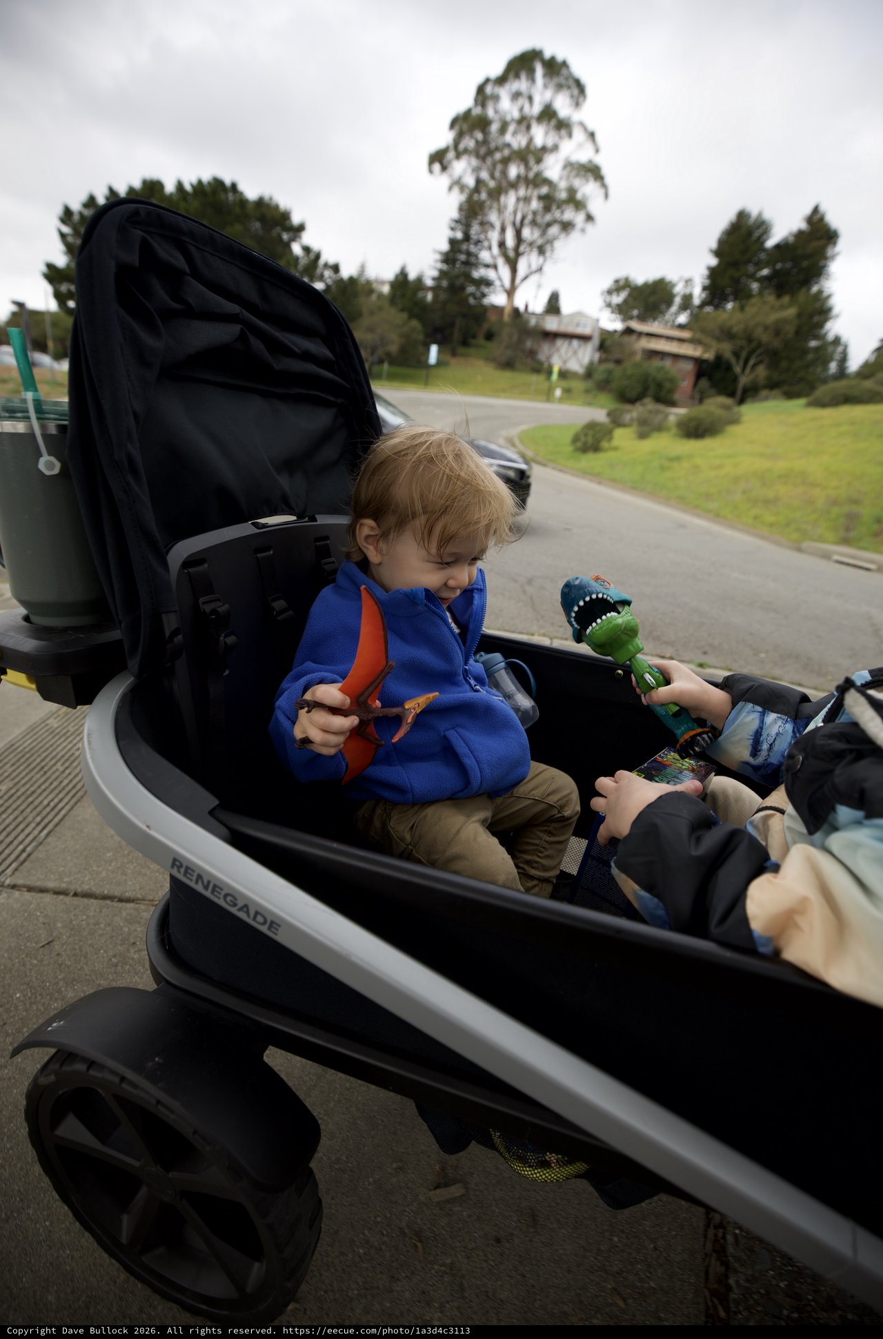 Young Child in Cargo Bike with Dinosaur Toy