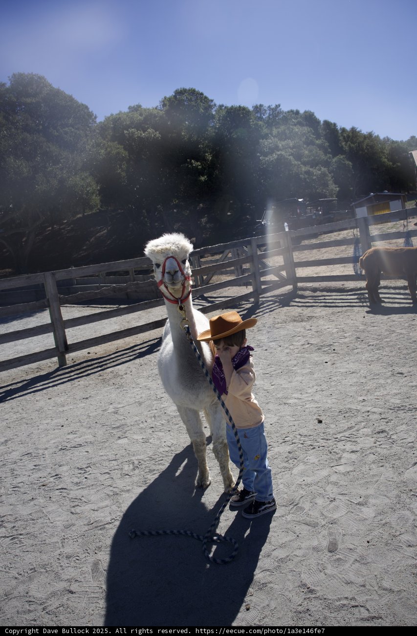 Little Cowboy's Day Out