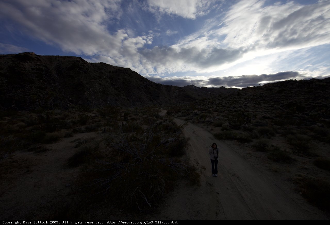 Trekking through the Joshua Tree Desert