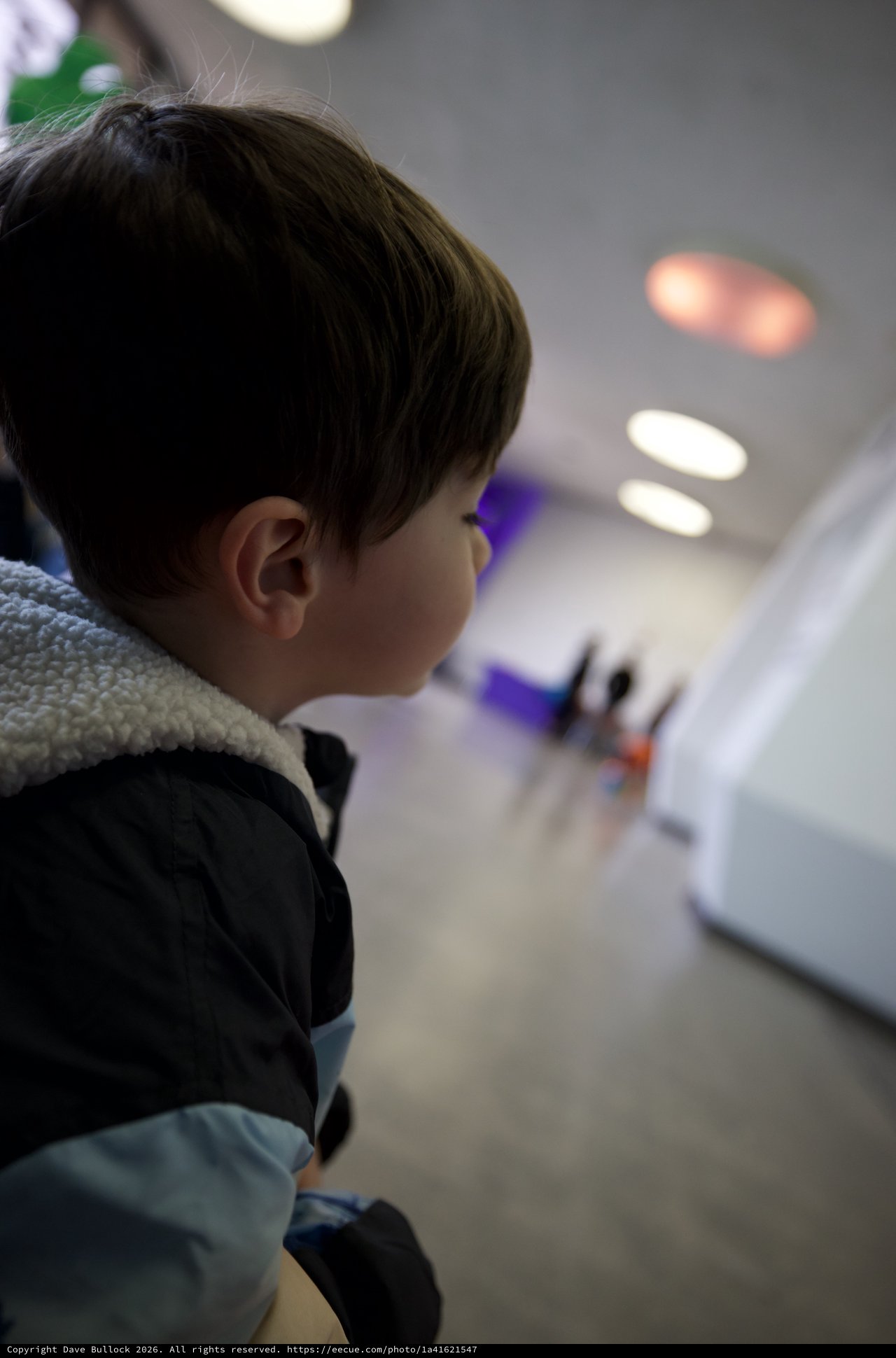 Child Engaged in Learning Activity Indoors