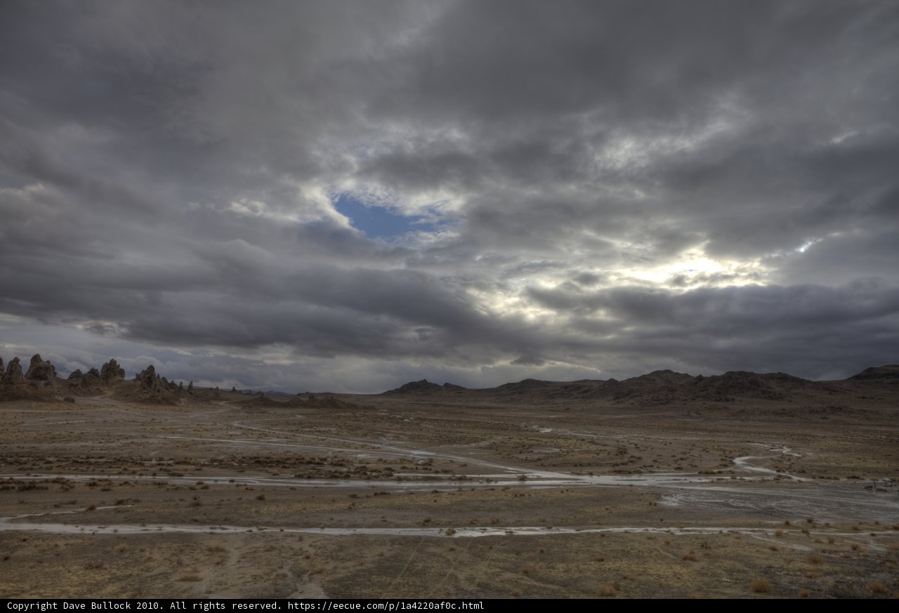 Desert Serenity