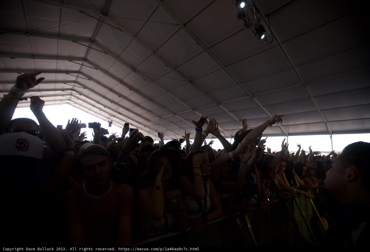 Hands Up in the Crowd