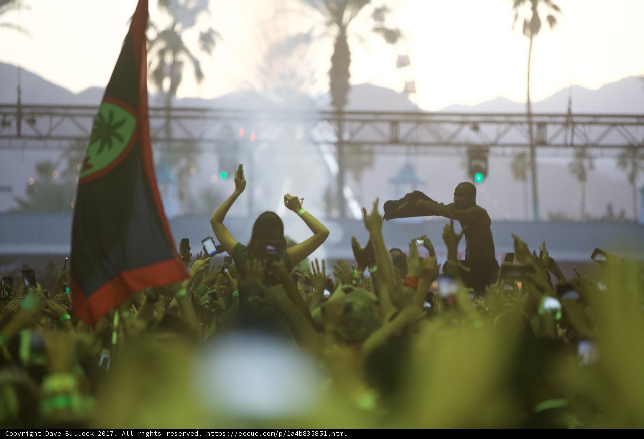 Hands in the Air at Coachella Music Festival
