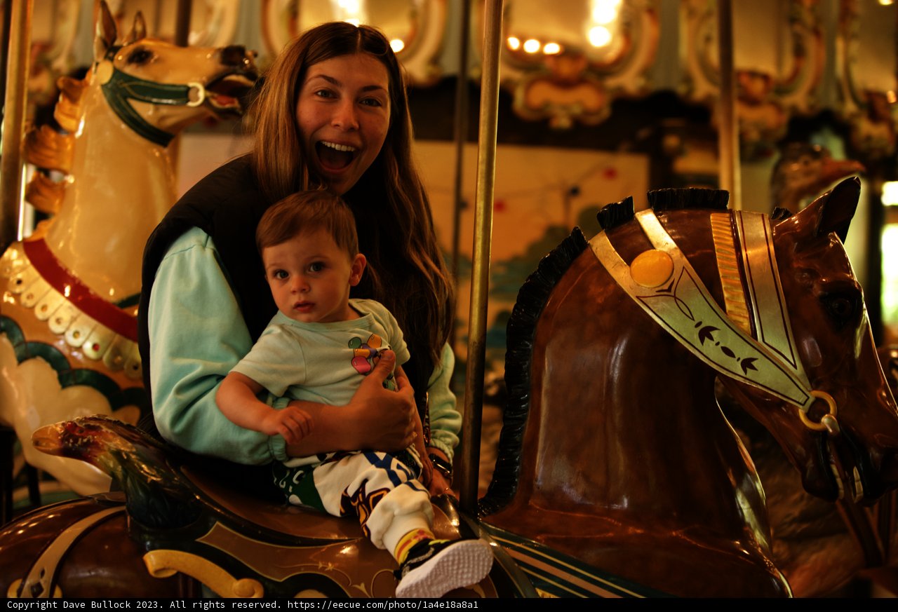A Magical Carousel Ride at SF Zoo