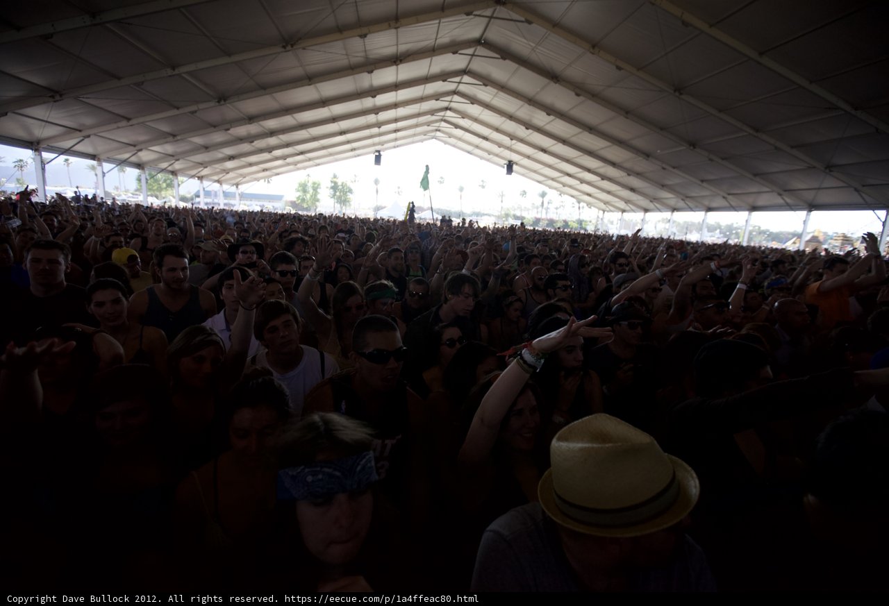 Jam Packed: A Thriving Music Festival Crowd