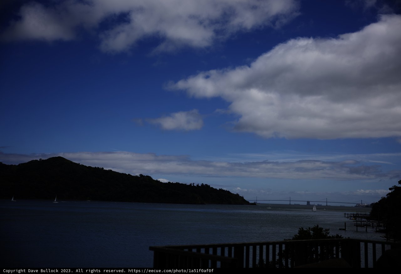 Tranquil Tiburon Waterfront