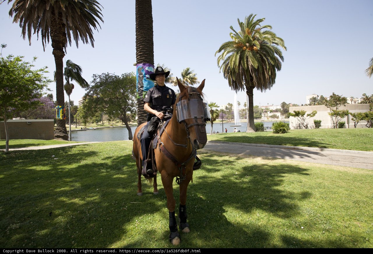 Police Officer on Horseback at Mayday Rally