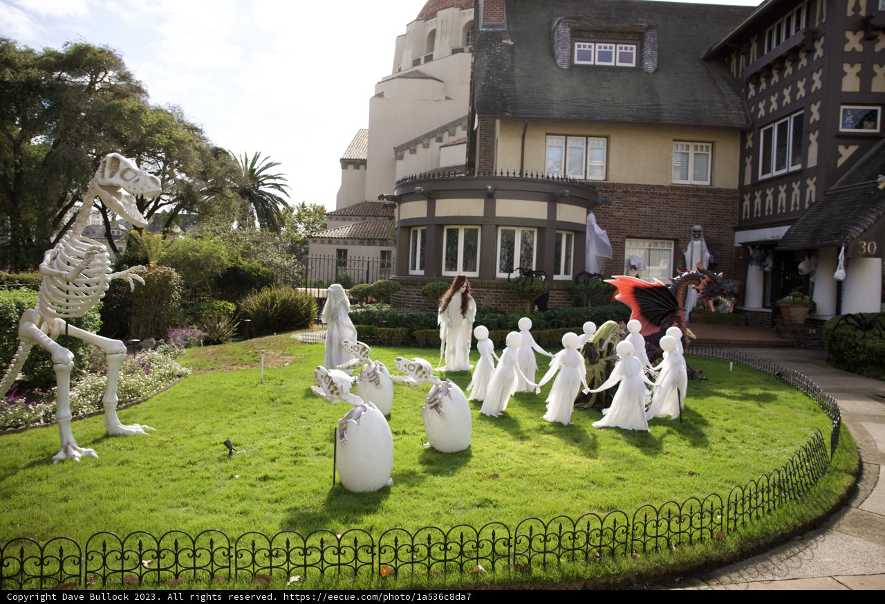 A San Francisco Oasis: The Enigmatic Villa