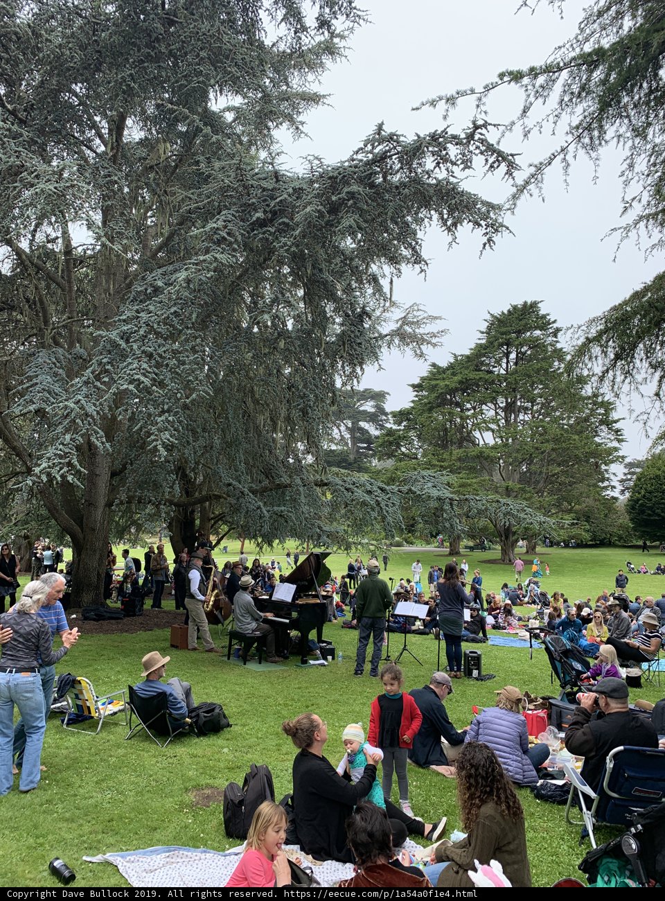 Gathering at the Park
