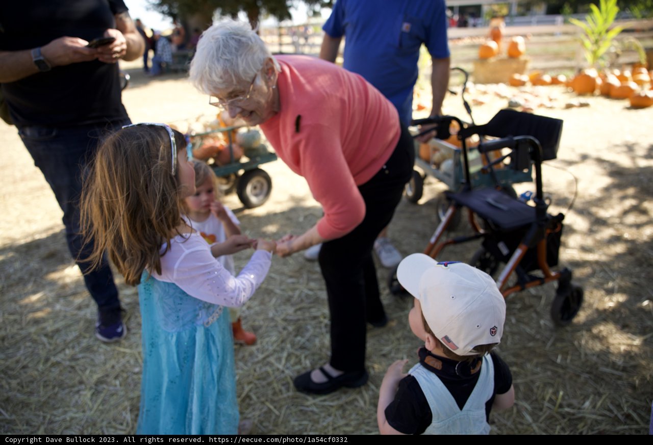 Golden Memories at the Pumpkin Patch
