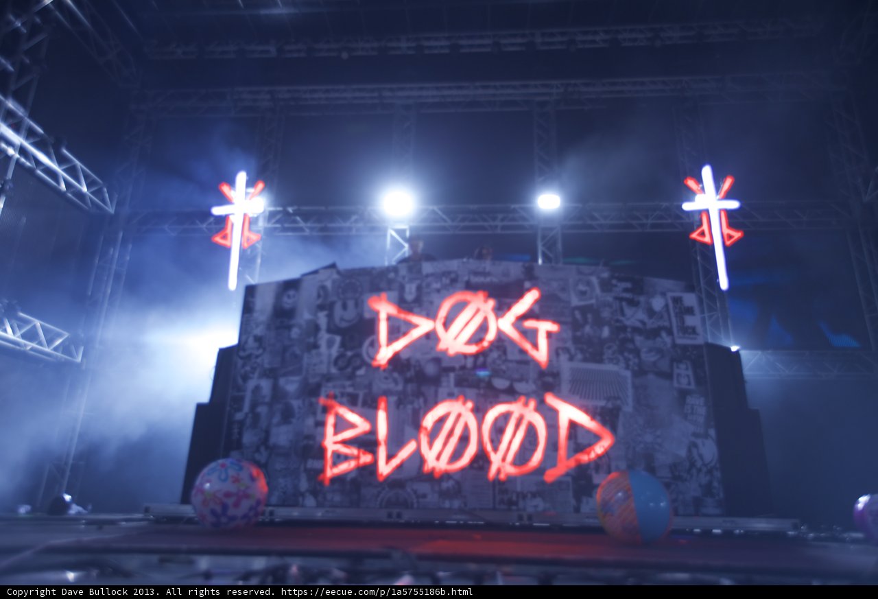 Dog Blood Shines in the Spotlight