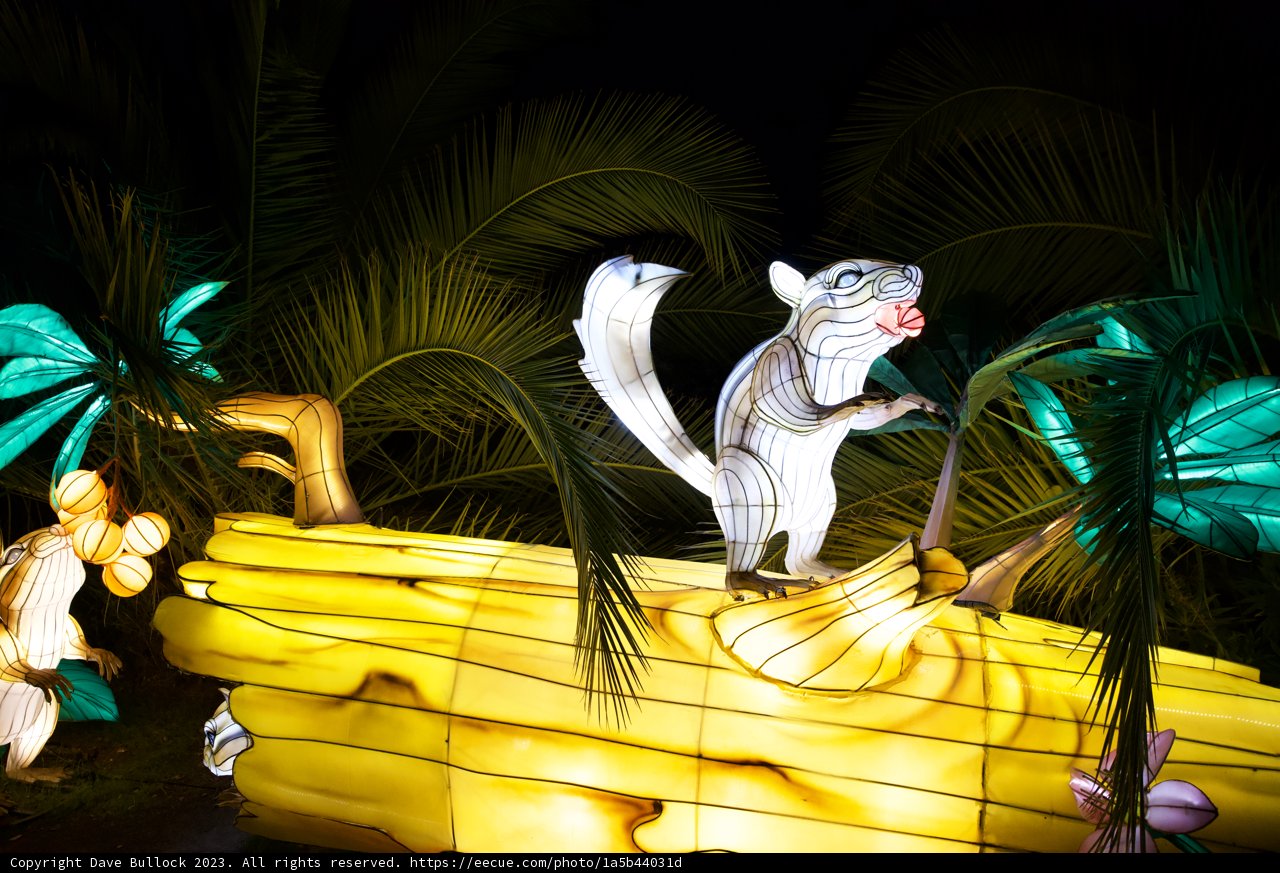 Enchanted Glow: Squirrel of the Oakland Zoo