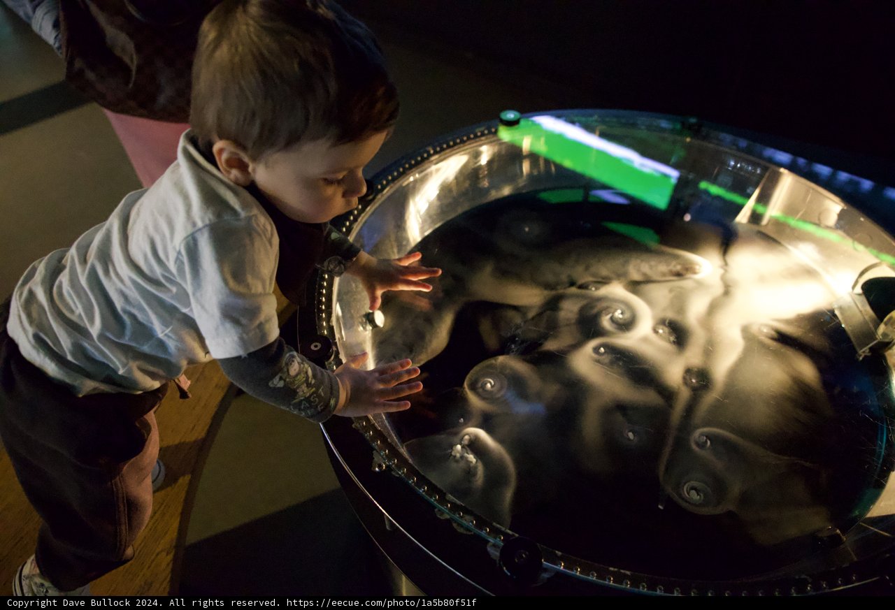 Child's Play: Discovery through Sounds and Textures in Metal