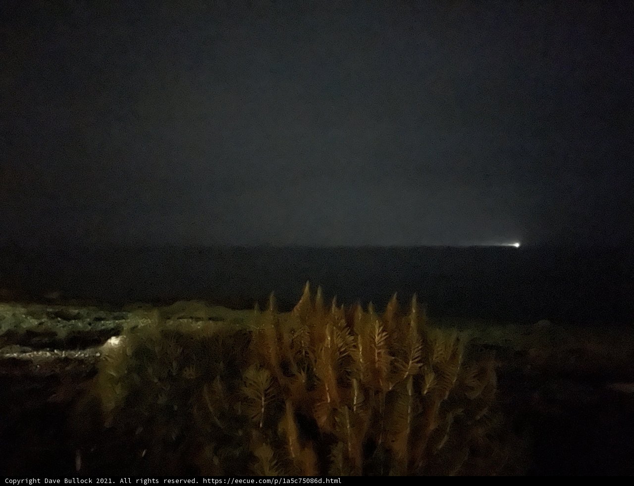 A Glowing Night Sky Above the Ocean