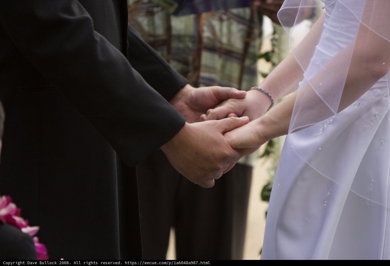 Holding Hands in Hawaii