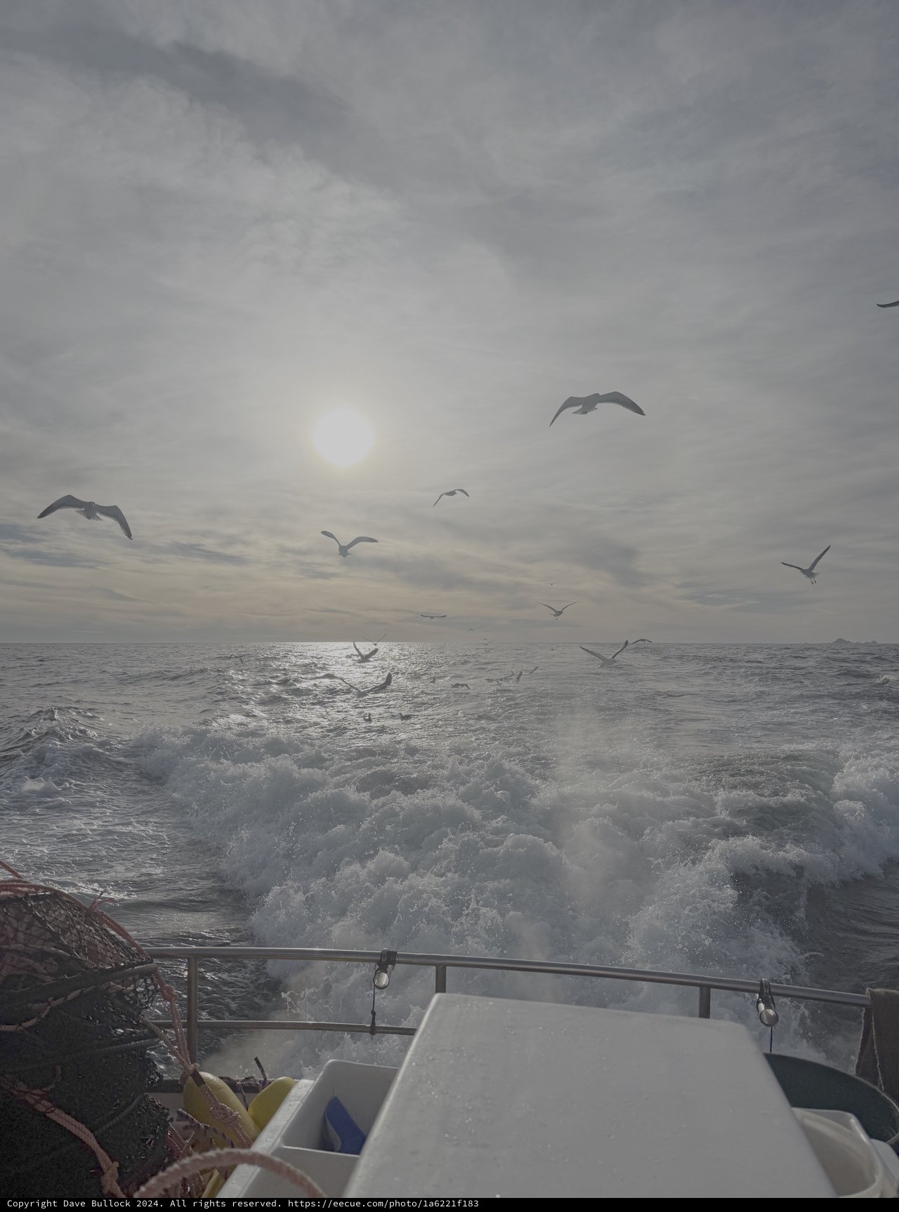 Seabirds Following Fishing Boat Through Rough Seas