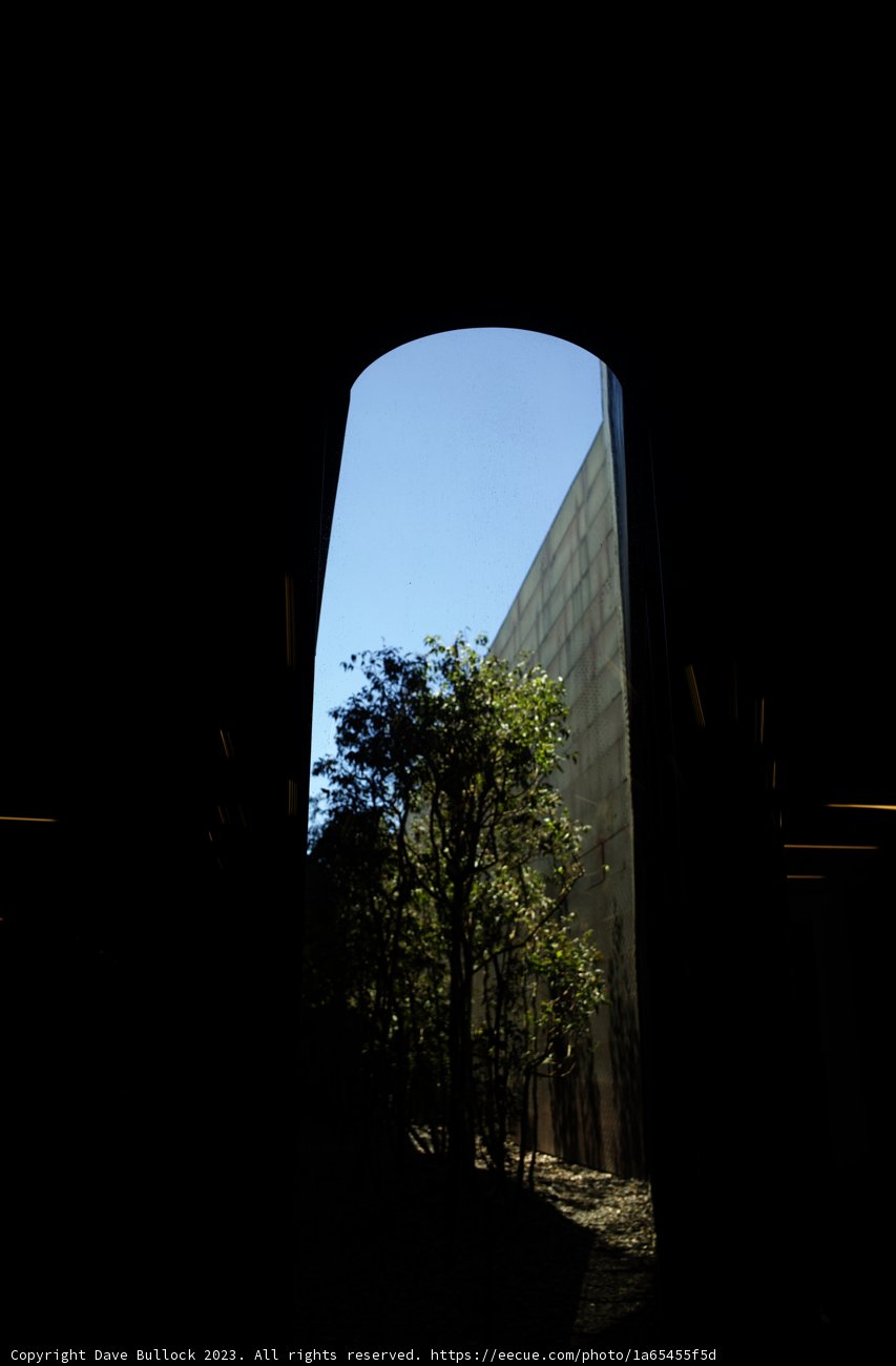 Nature's Frame: The Window View