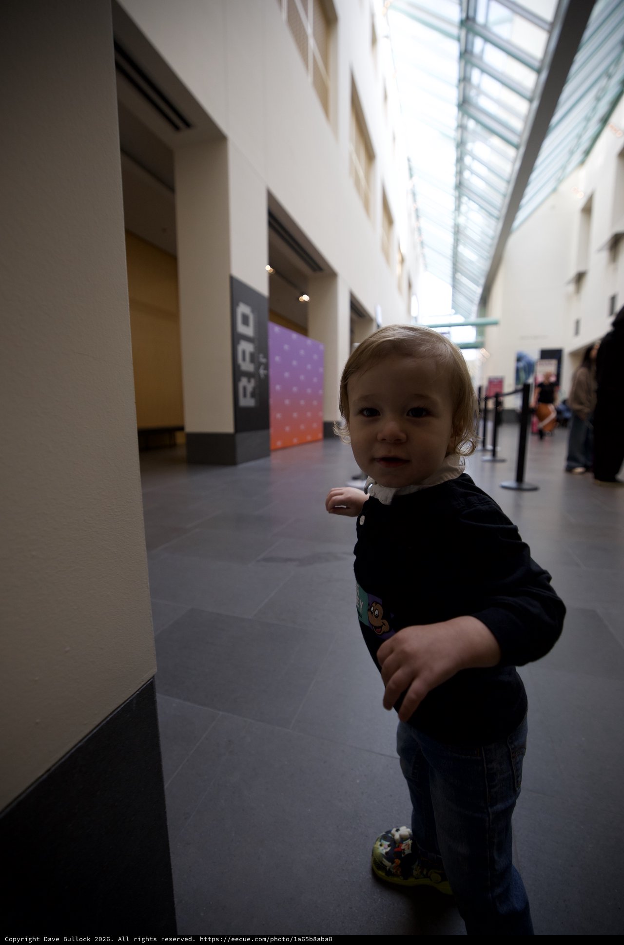 Toddler Exploring Asian Art Museum in San Francisco