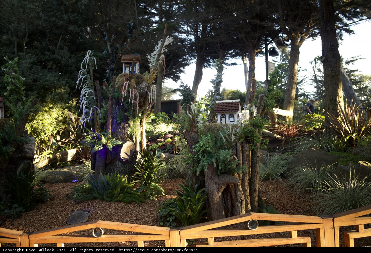 Serenity in Wood: November Afternoon at SF Zoo