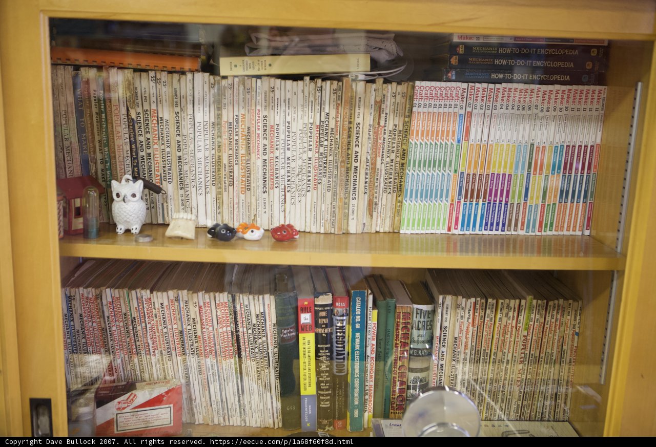 The Feline Librarian
