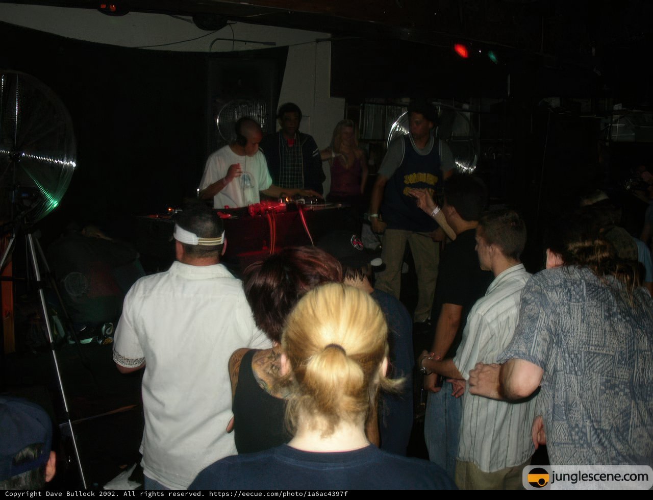 Nightclub Fun with DJ and Crowd