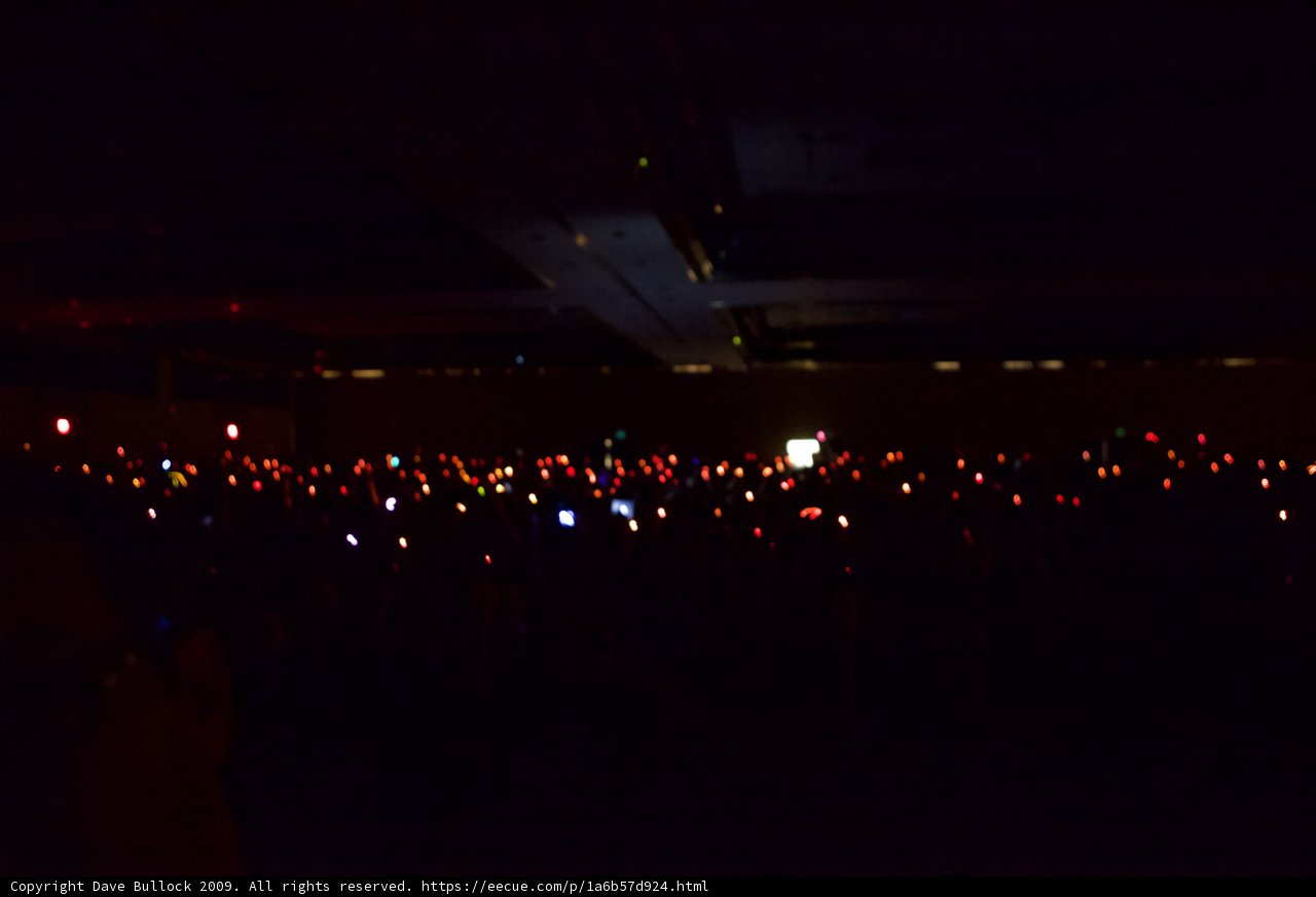 Glowing Nighttime Vigil