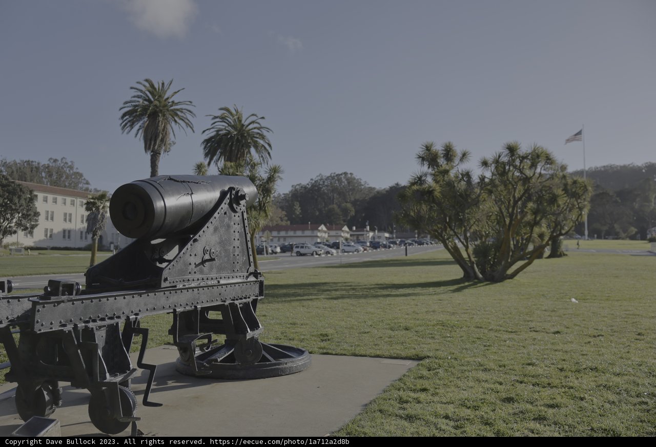 Mighty Cannon in the Wild