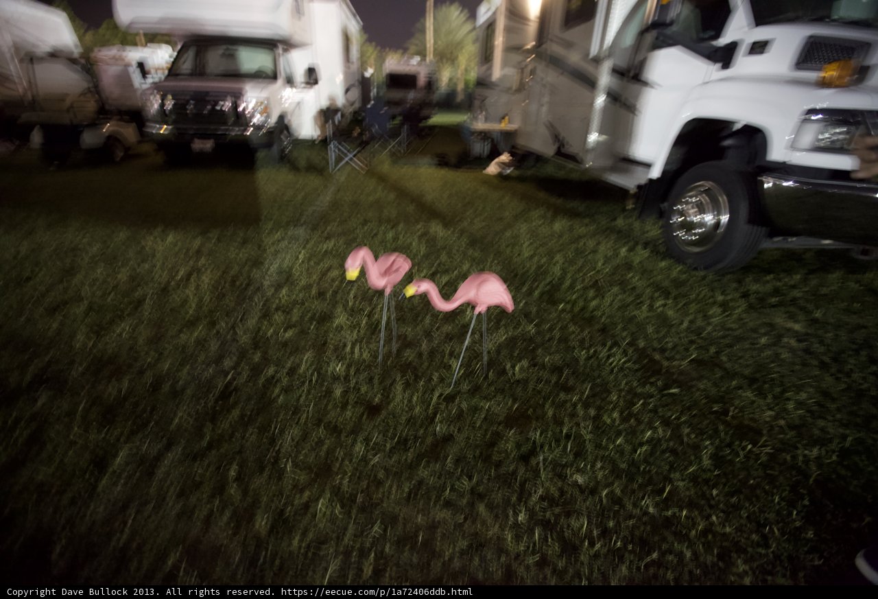 Flamingo Flock in the Grasslands