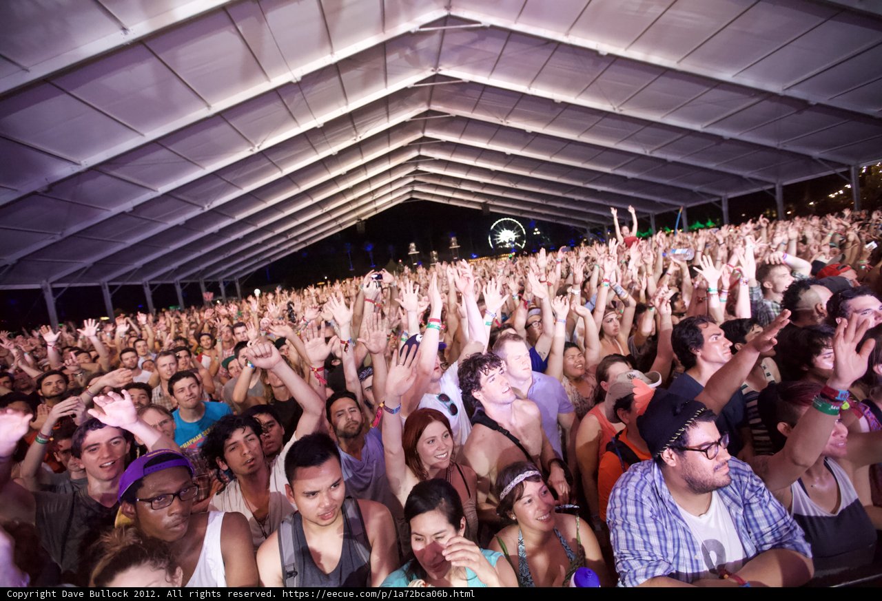 Music Festival Madness