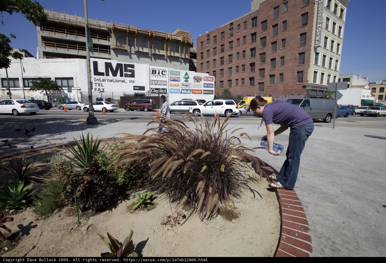 City Park Plant Watering