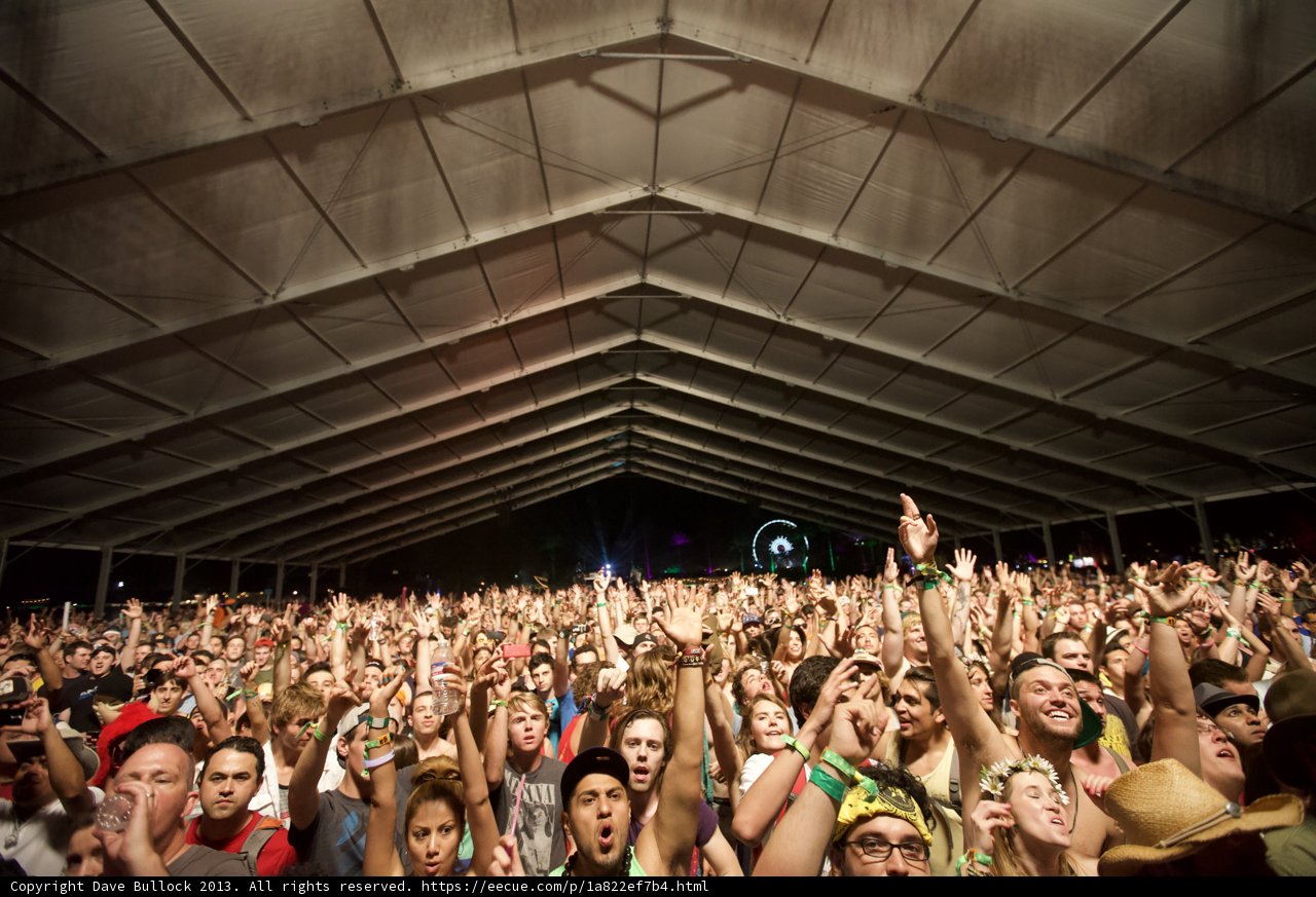 Music Festival Madness