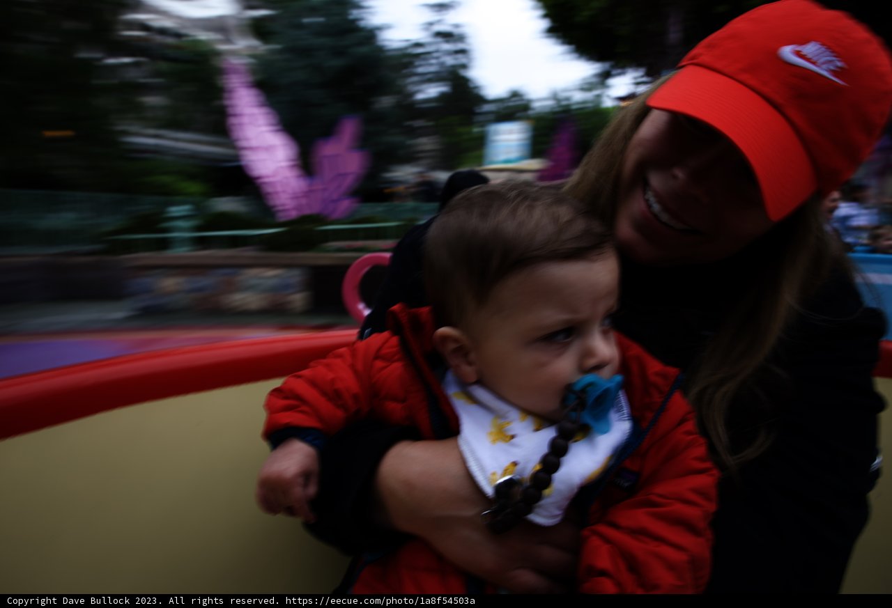 Magical Memories at Disneyland
