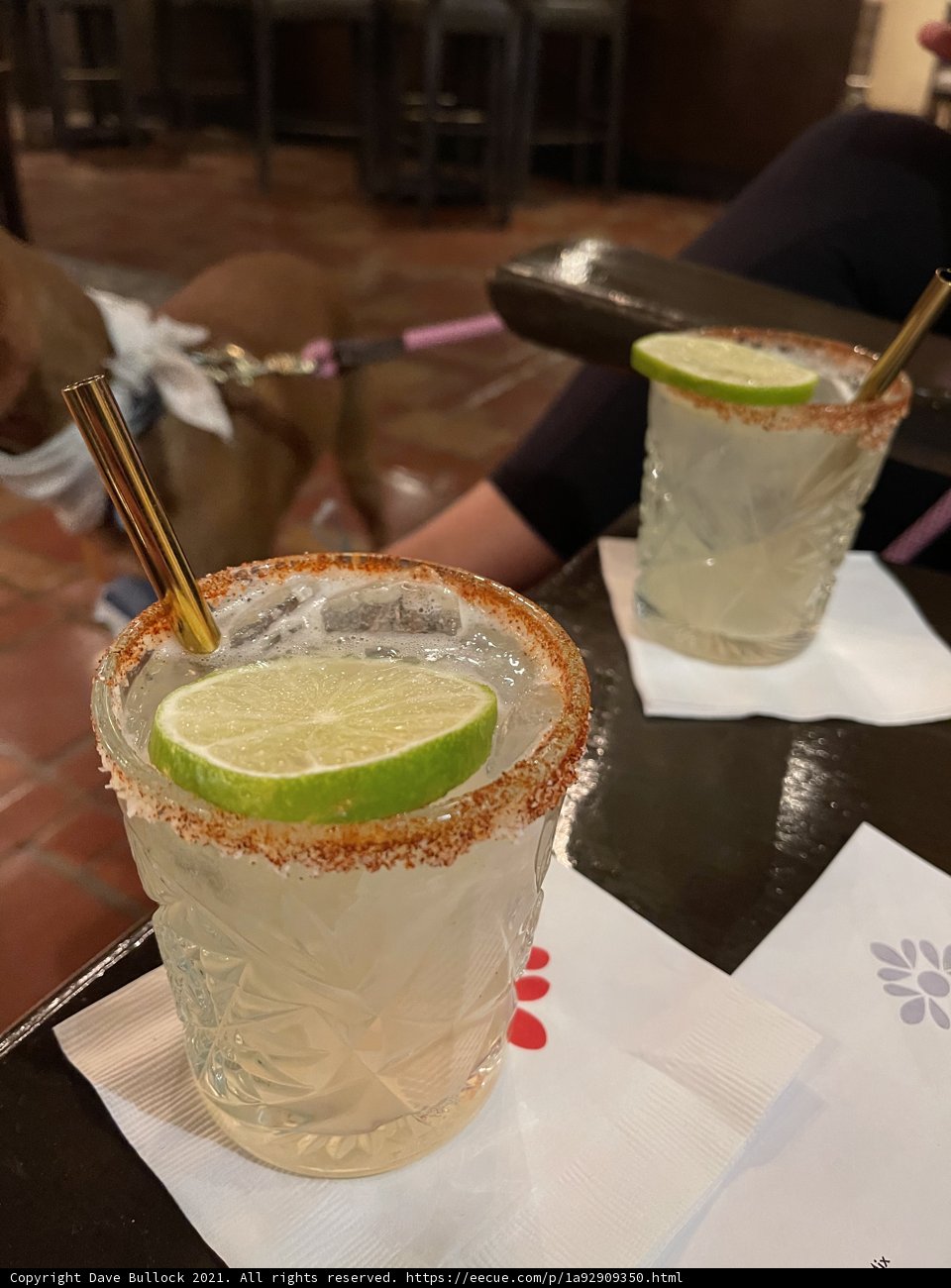 Margaritas and Canine Companion in Santa Fe