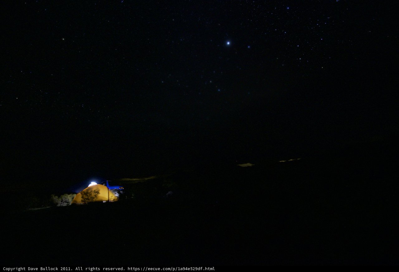 Solitude under Starry Night
