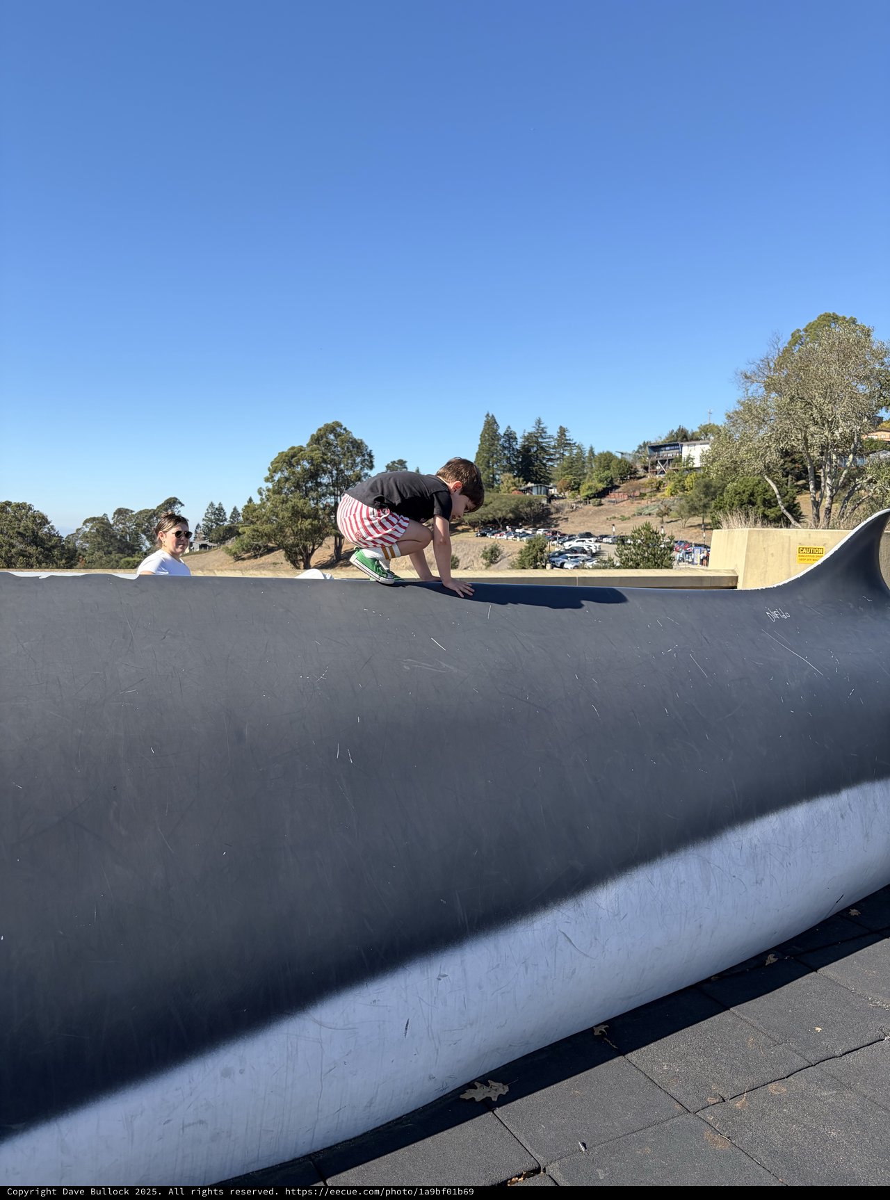 Skateboarder Performs Hand Plant at Concrete Skatepark