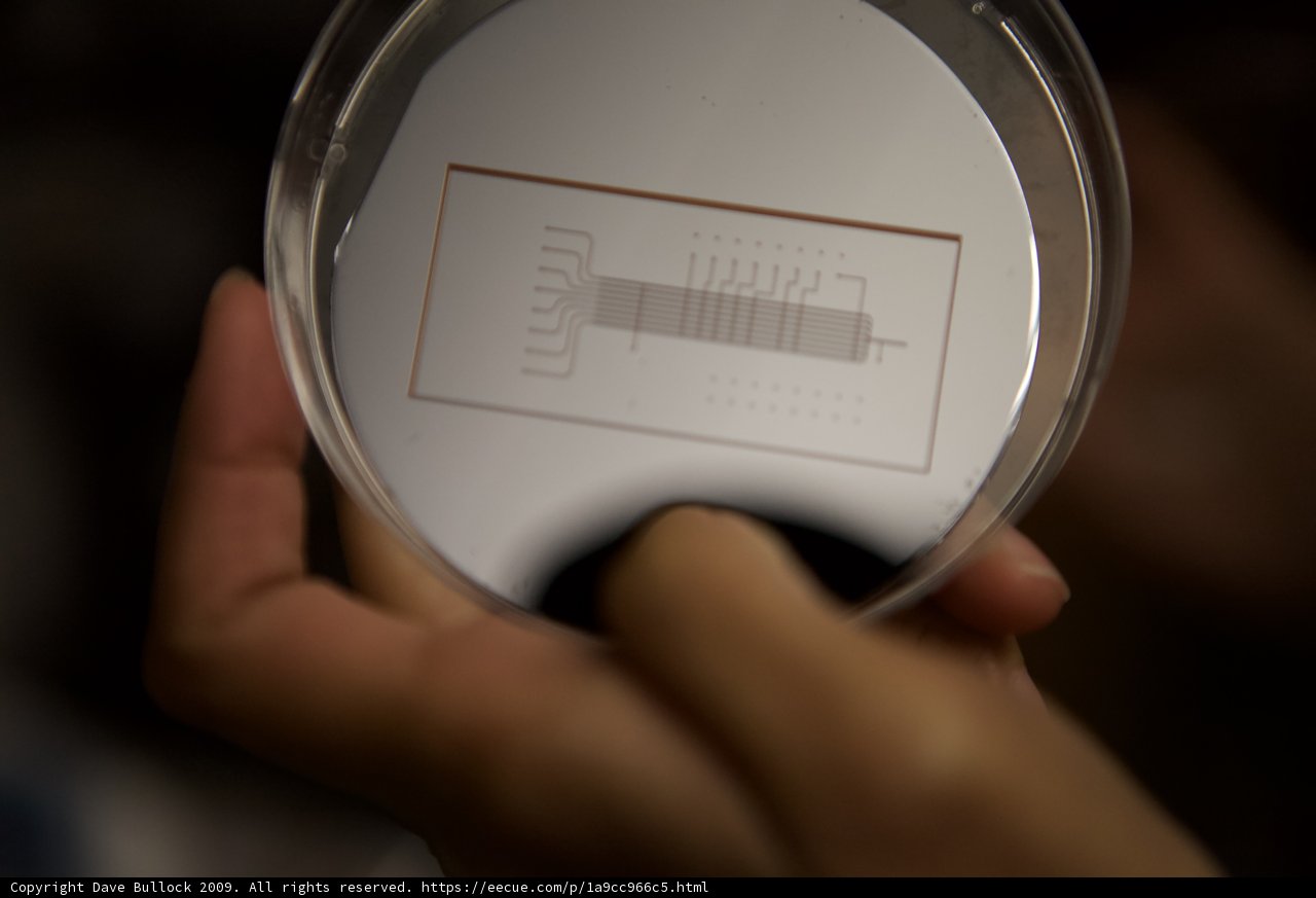 Reflections in Miniature