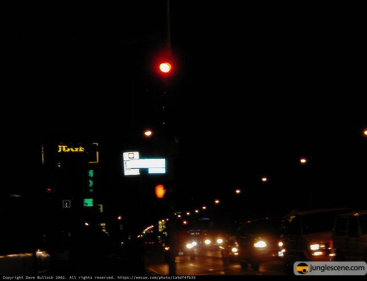 Guiding Light in the Night