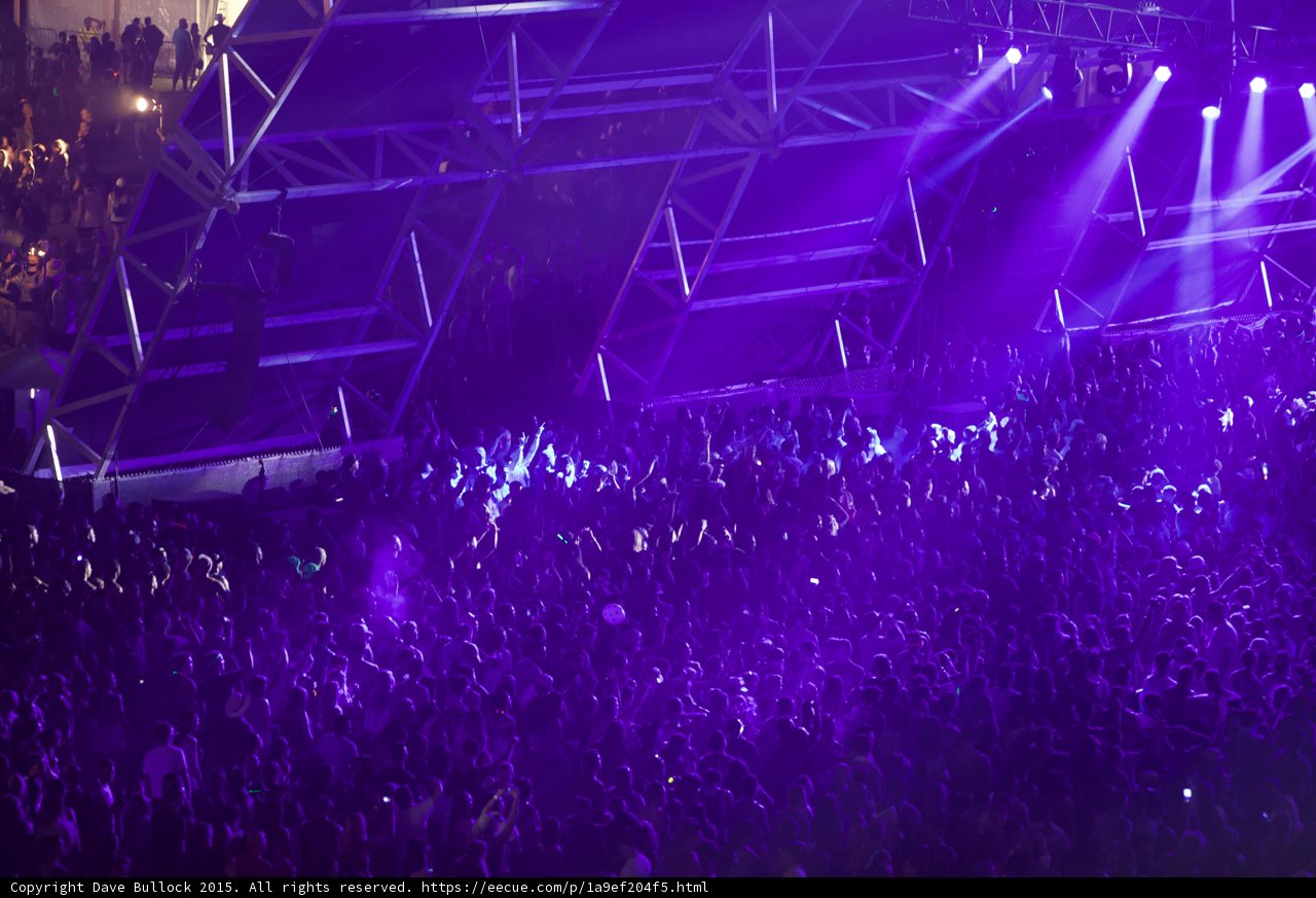 Purple Haze Concert Madness