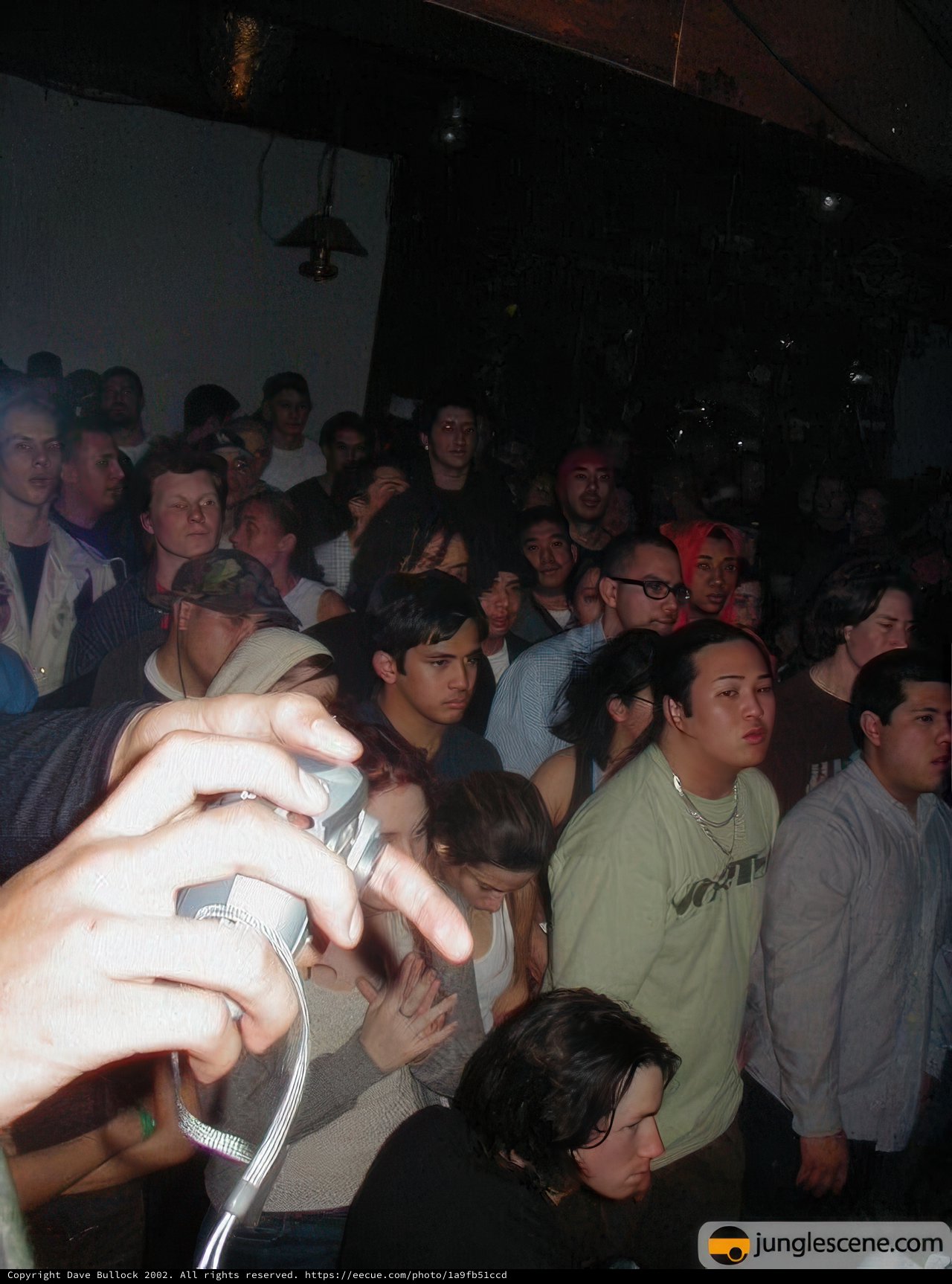 Nightclub Gathering