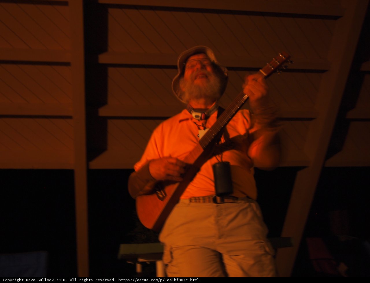 Nighttime Guitar Serenade