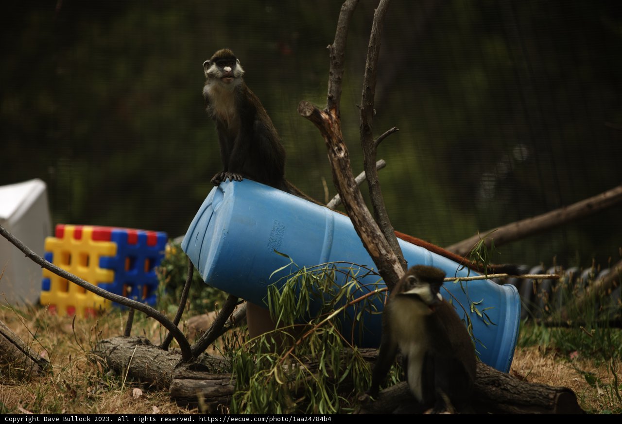 Barrel Buddies at Oakland Zoo, 2023